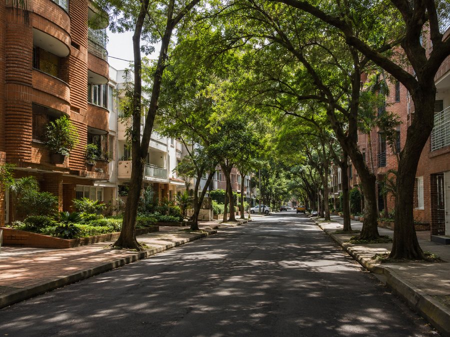 Tree-canopy street in Laureles